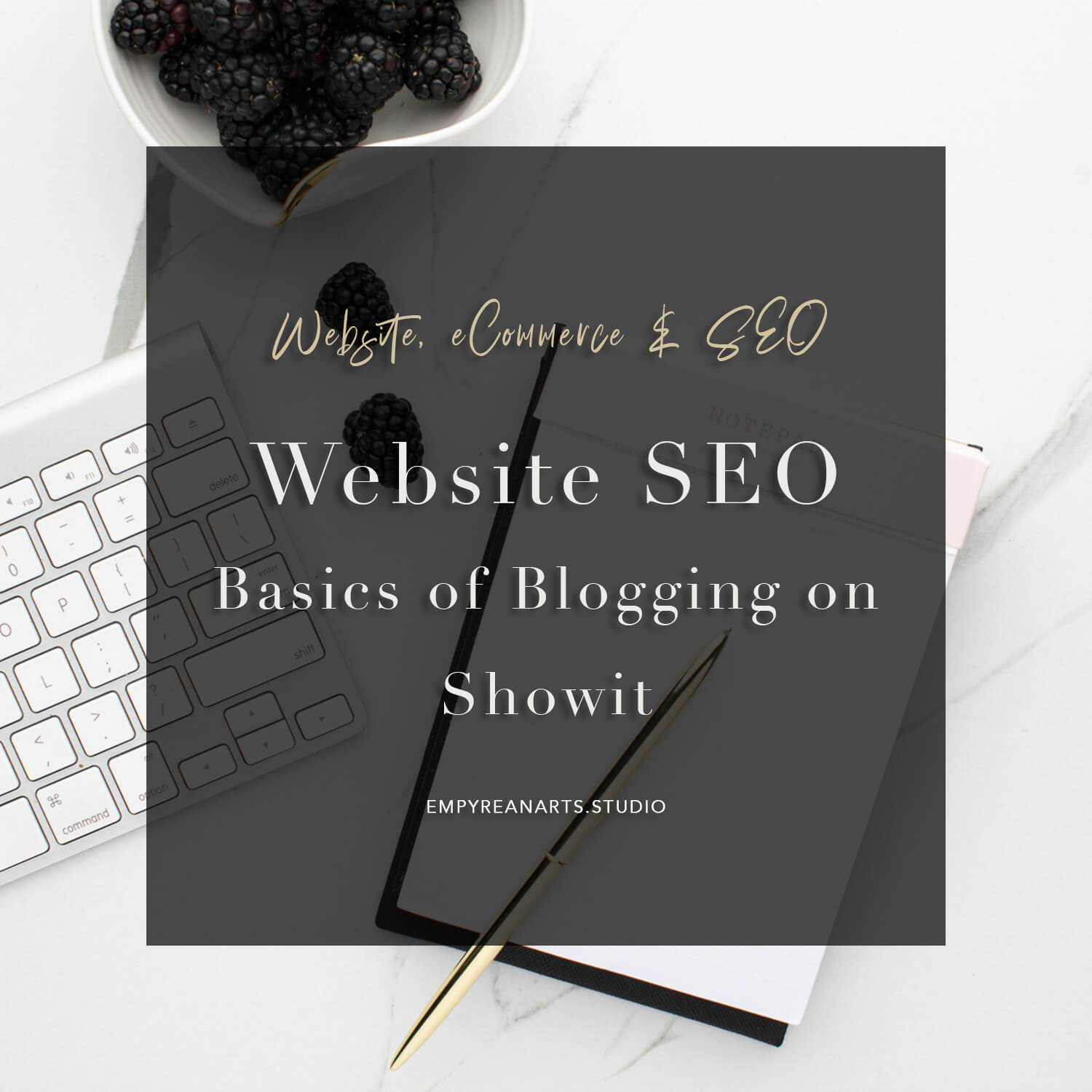 Basics of Blogging on Showit-WordPress for SEO